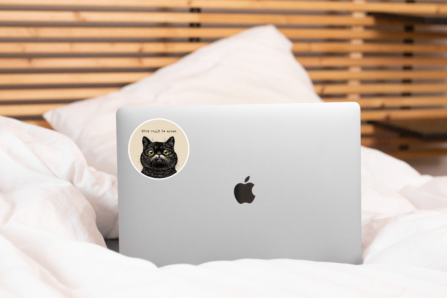Shit Could Be Worse Sticker
