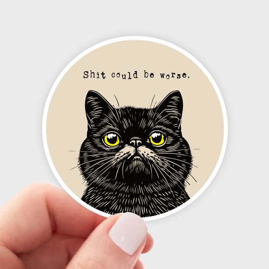 Shit Could Be Worse Sticker