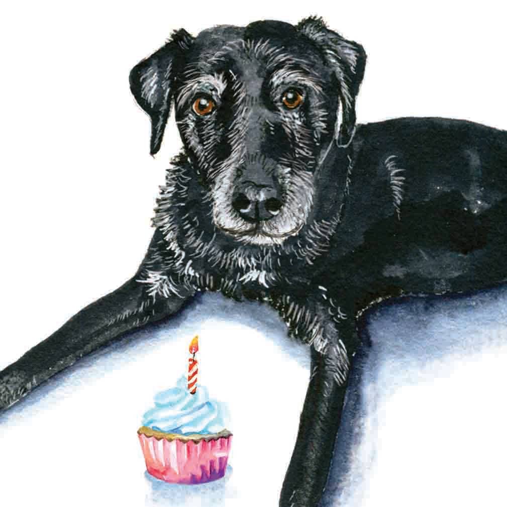 Old Live Matter Lab Dog Birthday Card