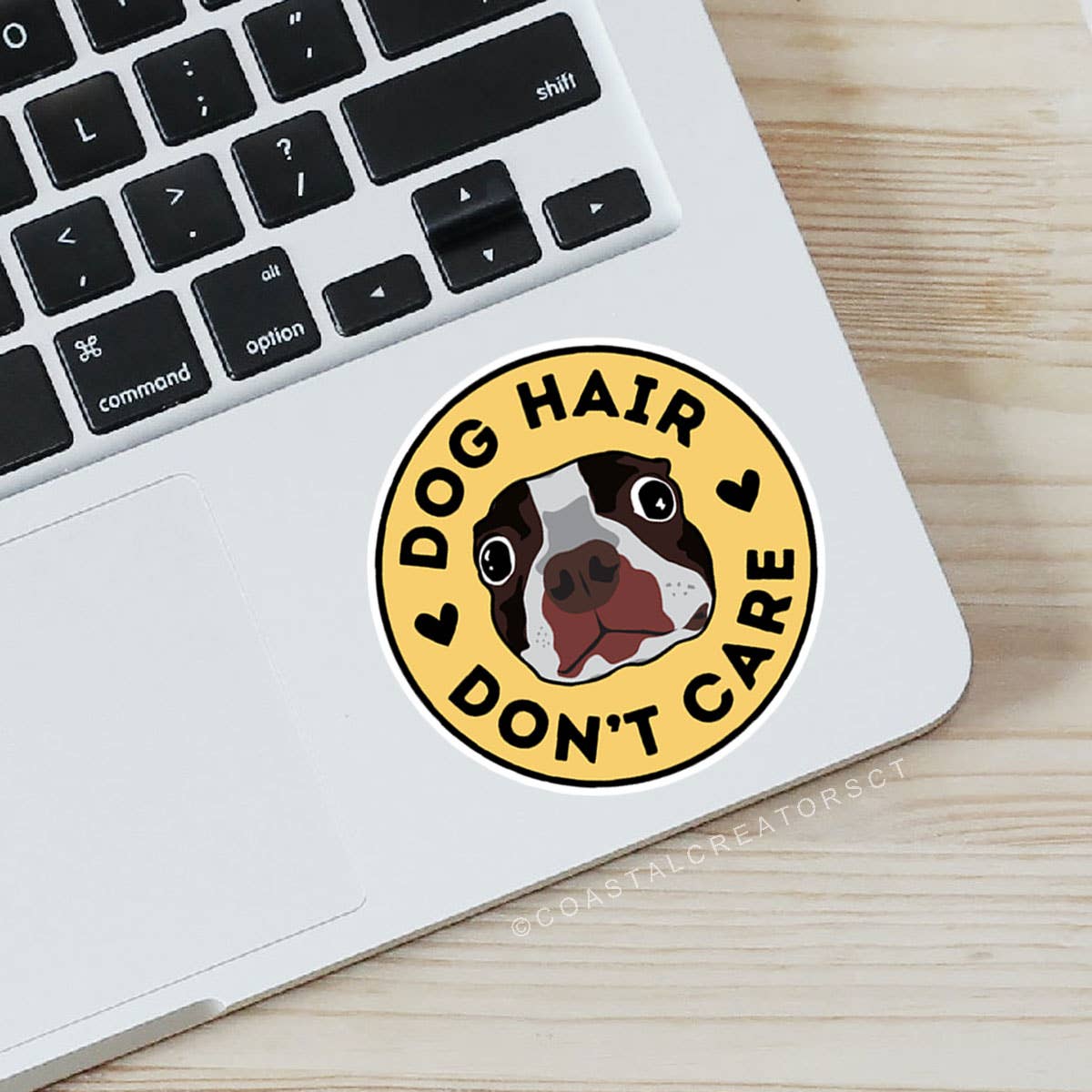 Dog Hair Don't Care Sticker