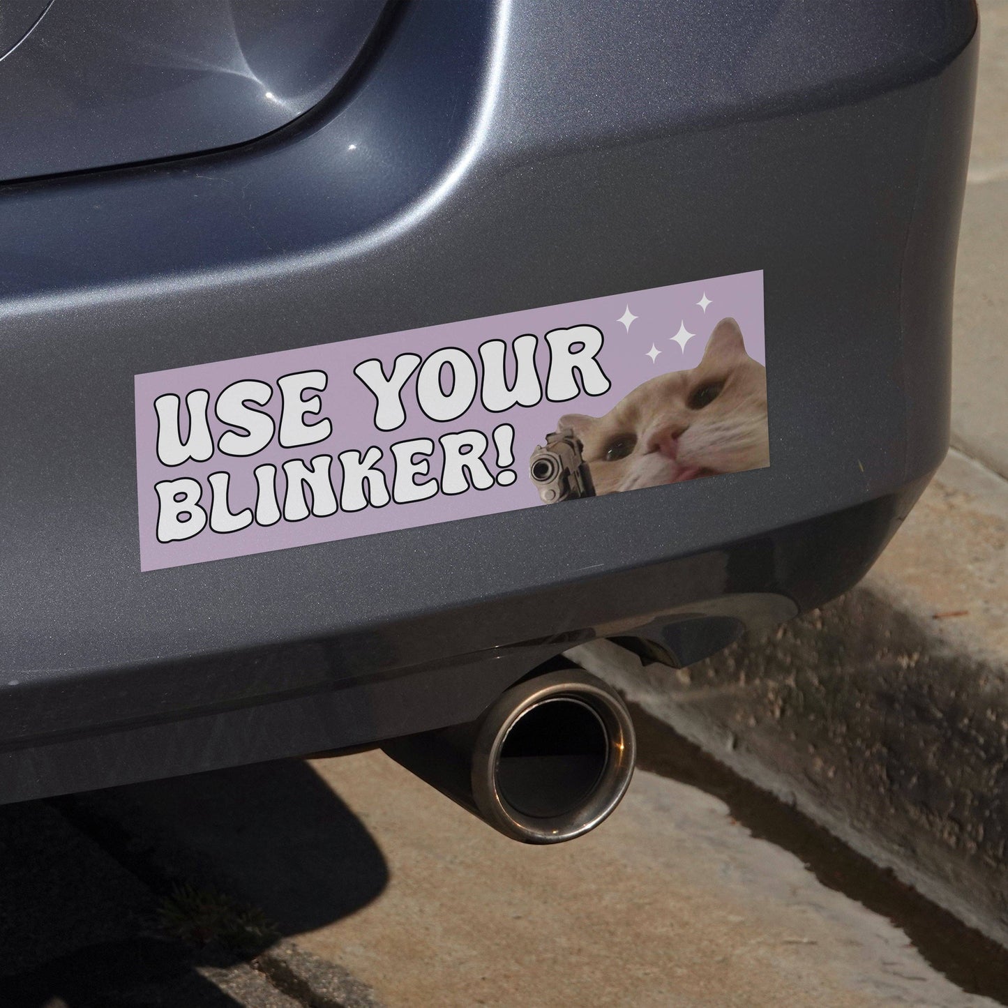 Use Your Blinker Cat Bumper Sticker