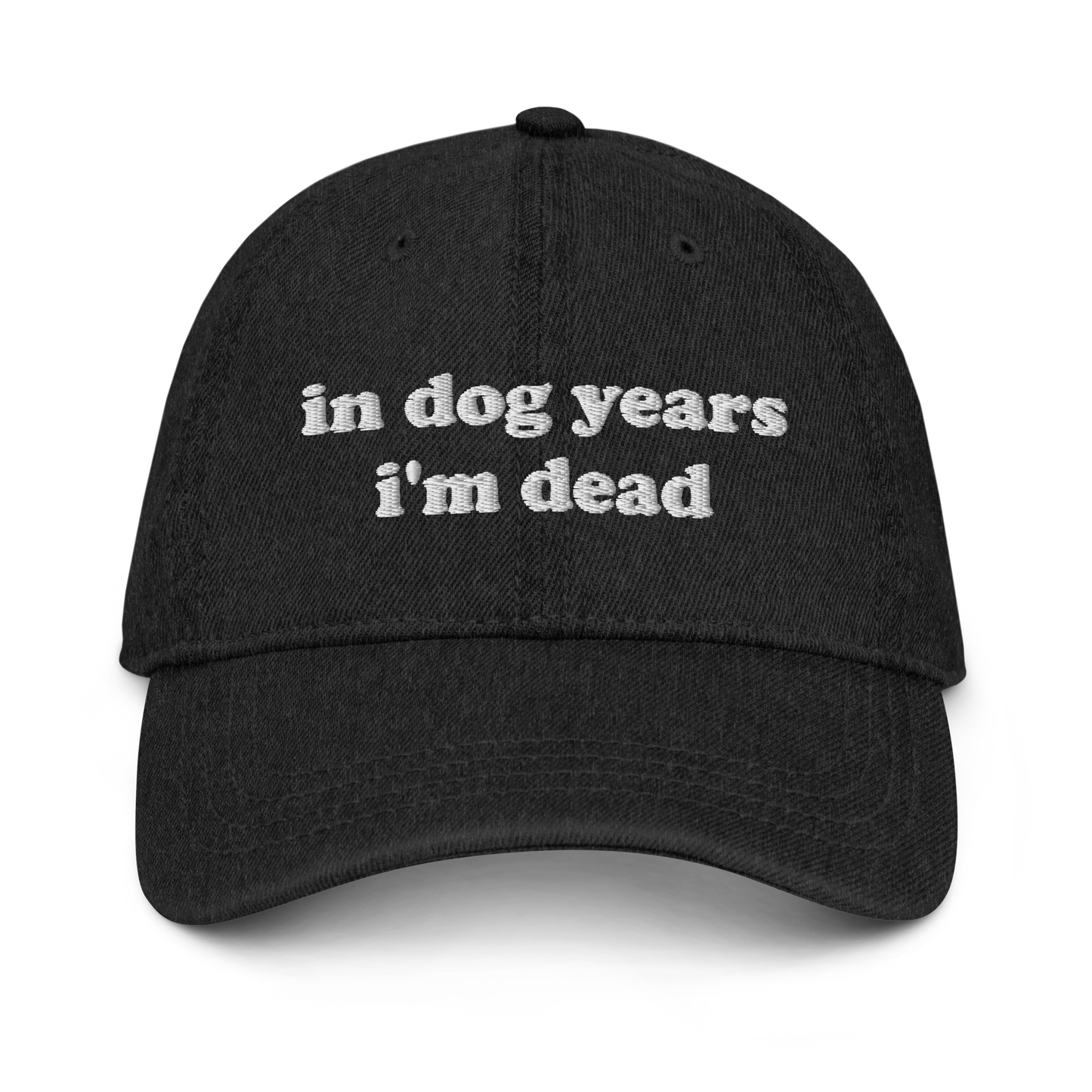 Dog Years Denim Hat