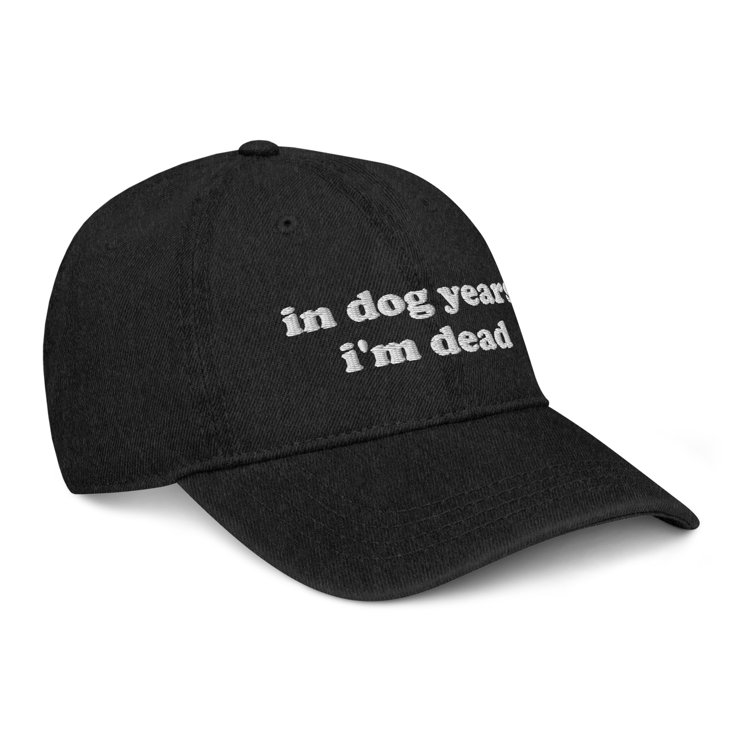 Dog Years Denim Hat