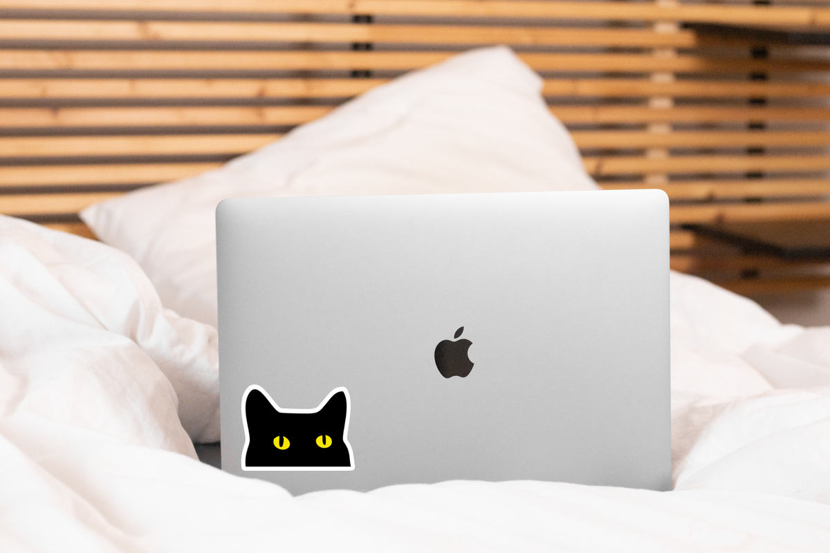 Begging Kitty Sticker