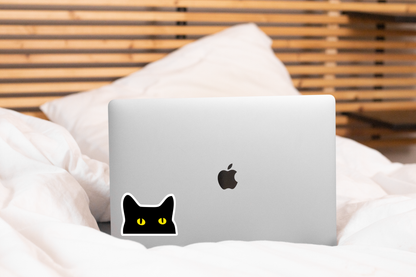 Begging Kitty Sticker